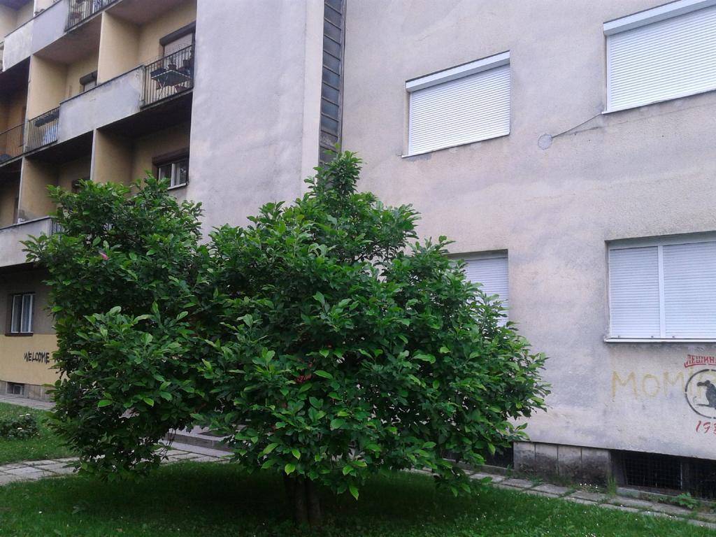 Apartment Ma 2 , 3 Rd Floor Баня-Лука Экстерьер фото